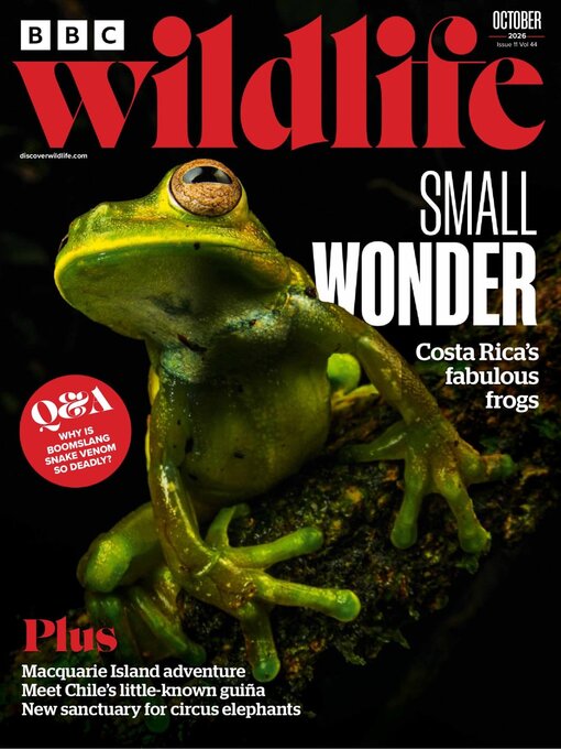 Cover image for BBC Wildlife Magazine